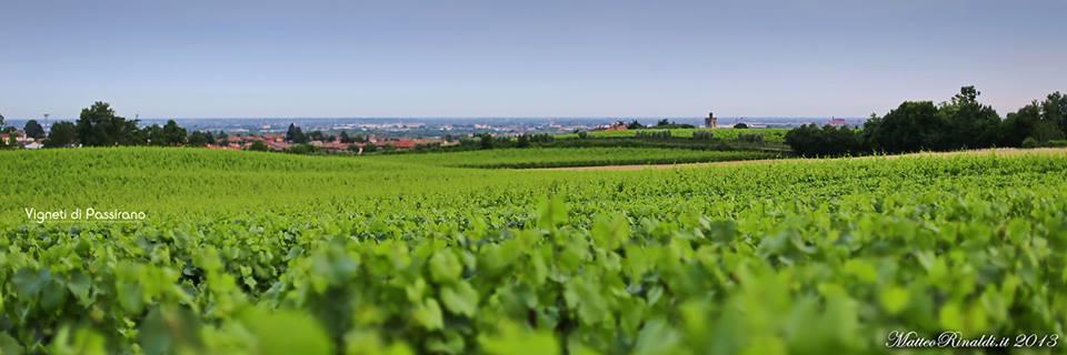 Wine & Lake In Franciacorta Passirano Dış mekan fotoğraf